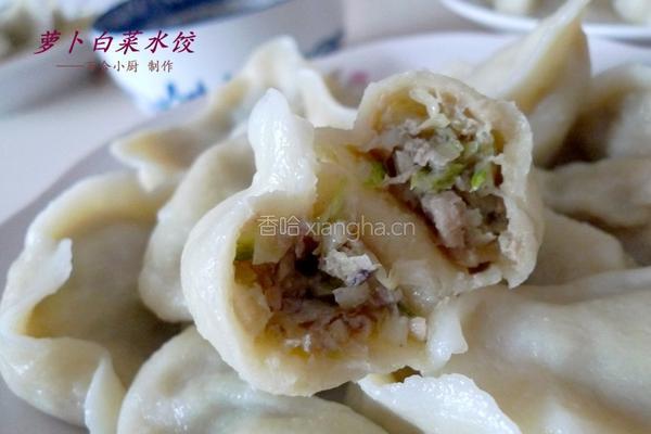 萝卜白菜水饺