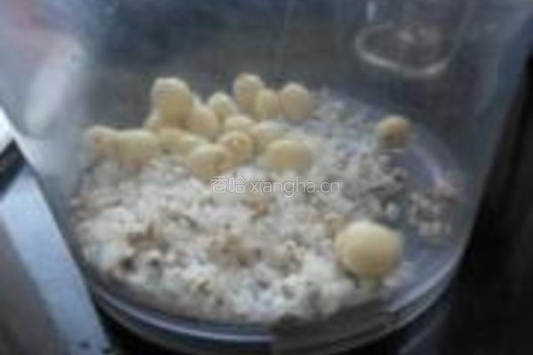 菊花莲子米糊的做法图解6