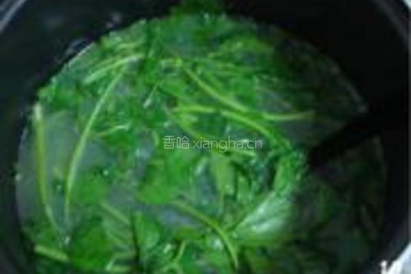 鲫鱼西洋菜汤泡饭的做法图解10