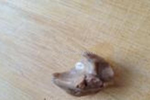 虾仁鸽子粥的做法图解5