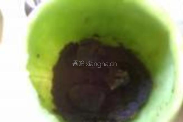 什锦酸奶煲的做法图解2