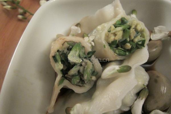槐花饺子