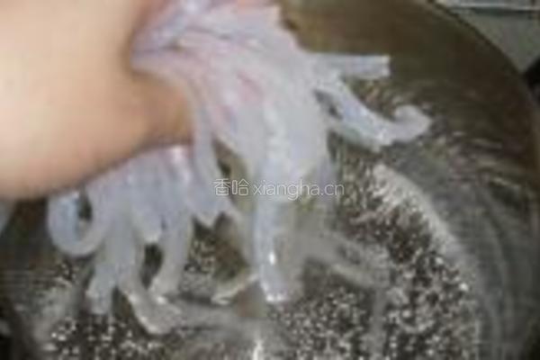 缤纷水果派果冻的做法图解5