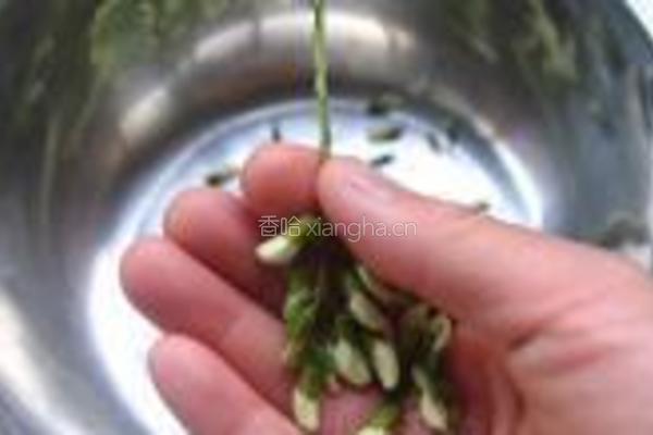 槐花水煎包的做法图解3