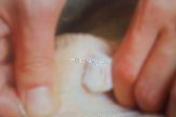 人参鸡汤的做法图解4