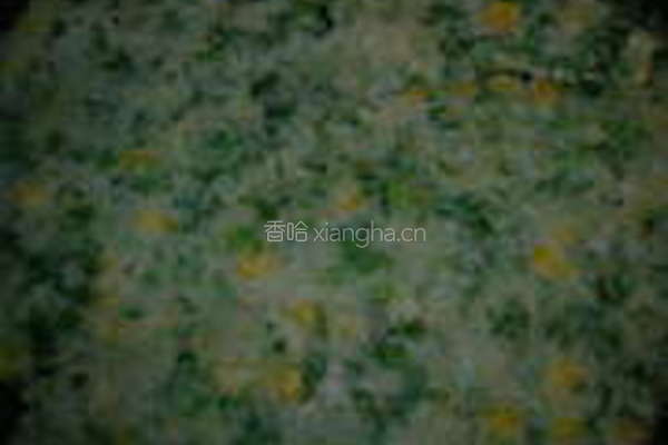 煎苦菊饼的做法图解8