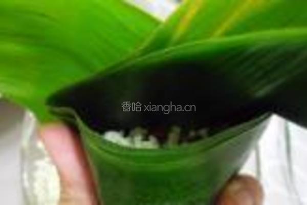 红豆粽的做法图解7