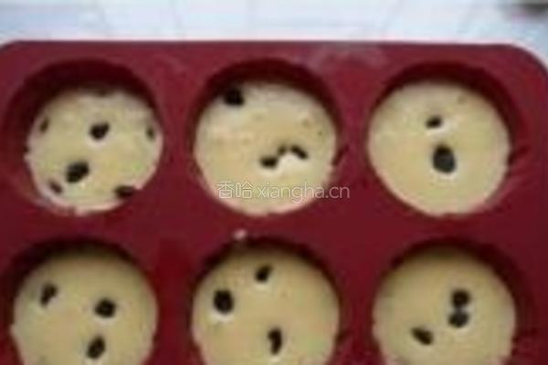提子老蛋糕的做法图解5