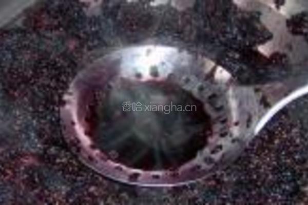 桑葚果汁的做法图解4