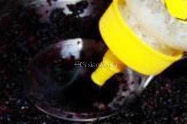 桑葚果汁的做法图解6