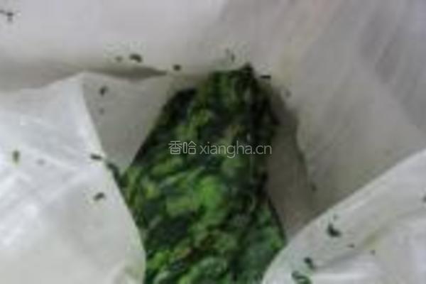 生煎包的做法图解3