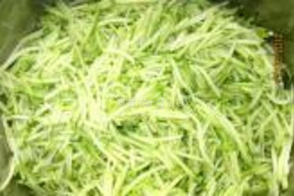 南瓜腊肉蒸包的做法图解4