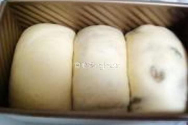 牛奶葡萄干吐司的做法图解11