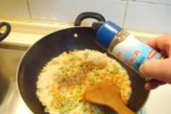 土耳其羊肉手抓饭的做法图解31