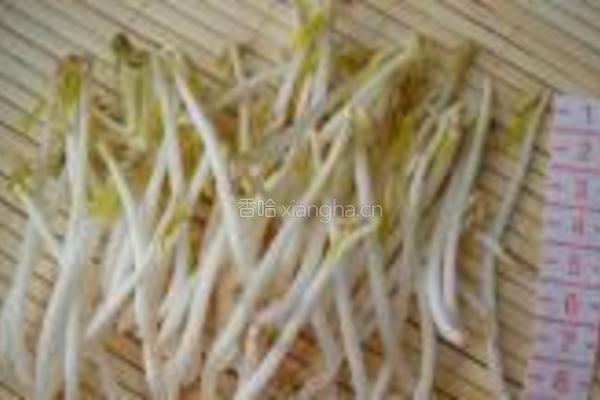 自制绿豆芽的做法图解15