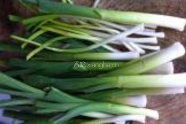 包子的做法图解11