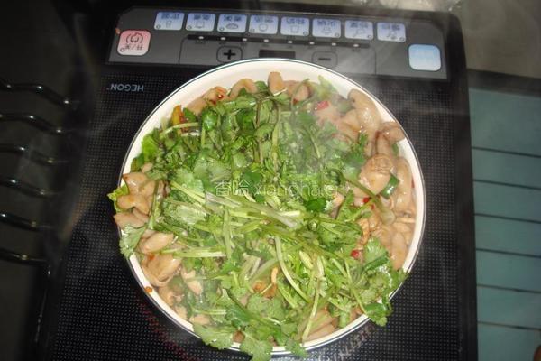 干锅肥肠