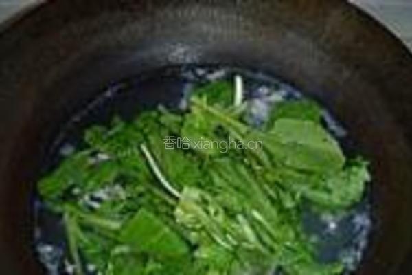 青菜肉丝小煮面的做法图解6