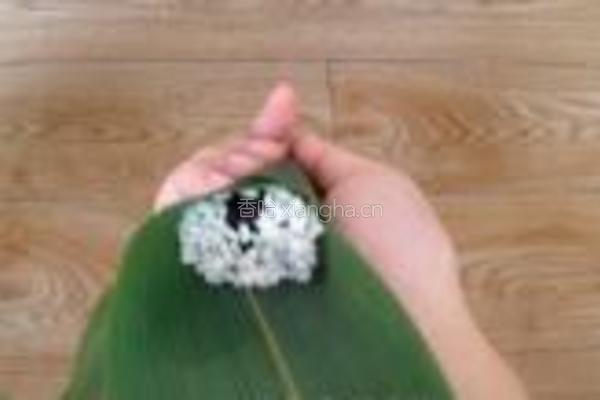 蜜枣三角粽的做法图解12