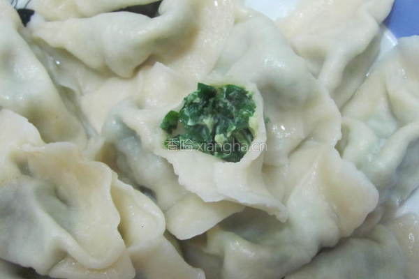 荠菜素饺子