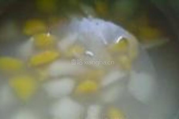 雪梨枇杷羹的做法图解4