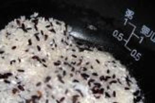 笋干酱油饭的做法图解6