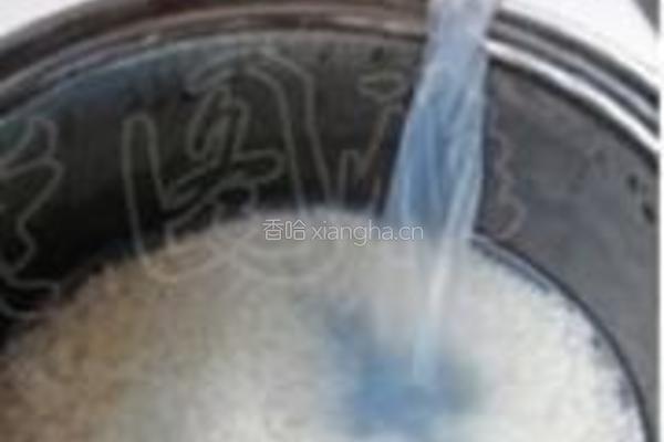 蛤蜊大米粥的做法图解3