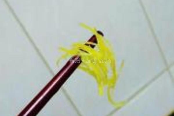 柚子茶的做法图解6