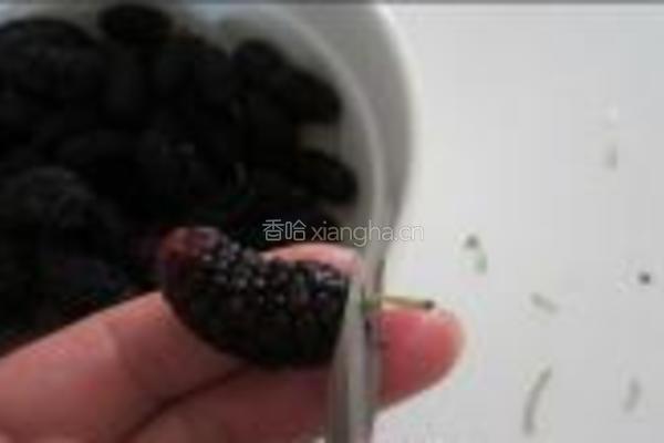 桑果酸奶饮的做法图解5
