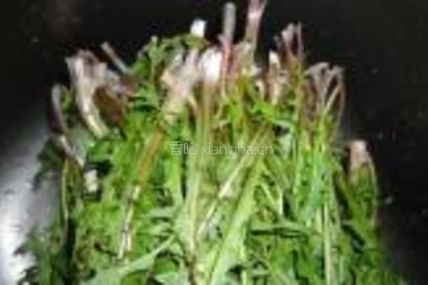 蒲公英肉锅贴的做法图解1