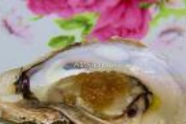 蒜蓉烤牡蛎的做法图解4