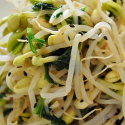 凉拌黄豆芽的做法[图]
