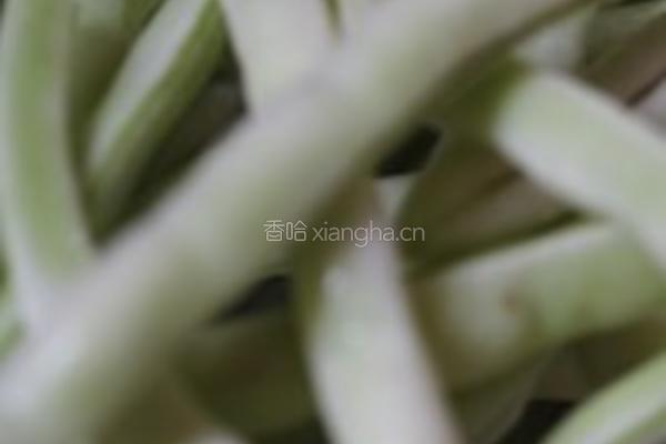 红烧豆腐肉的做法图解3