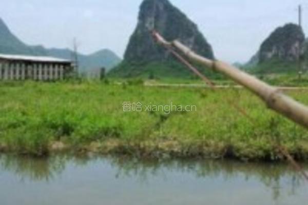 童年小龙虾的做法图解3