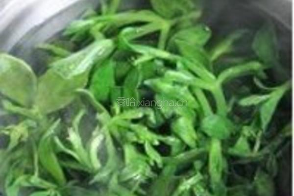 凉拌田七菜的做法图解1