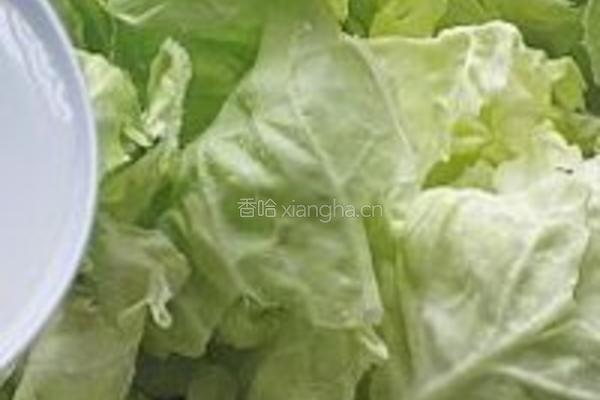 卷心菜的做法图解7