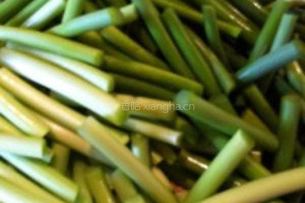 培根炒黄豆芽蒜苗的做法图解4