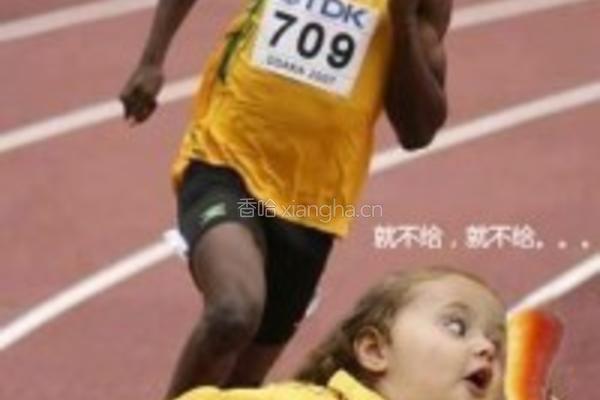 土豆炖肉的做法图解2