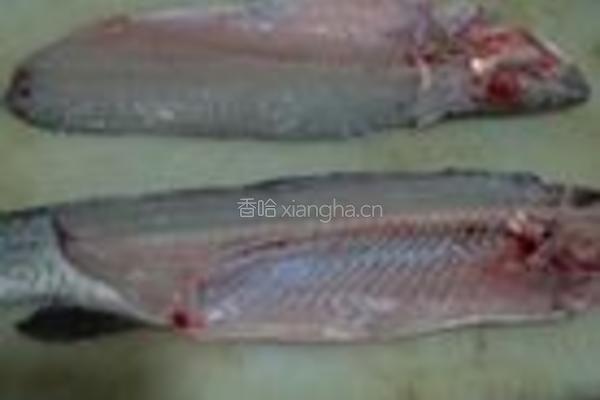 葱油草鱼的做法图解2