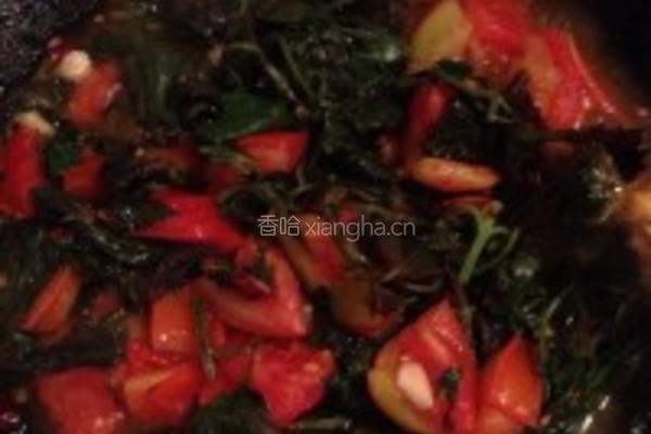 紫苏西红柿的做法图解6