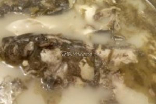 花鲢鱼头豆腐汤的做法图解4