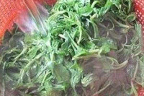 马兰头的做法图解4
