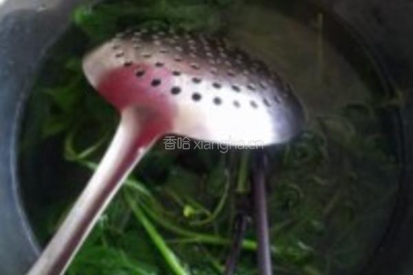 凉拌刺五加的做法图解2