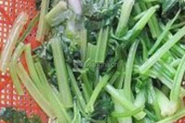 香干芹菜的做法图解6