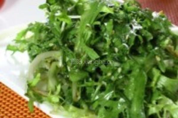 花椒油拌苦菊的做法图解1