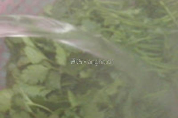 香菜拌百叶的做法图解1