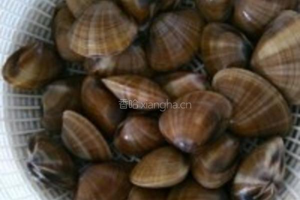 葱油蛤蜊的做法图解1