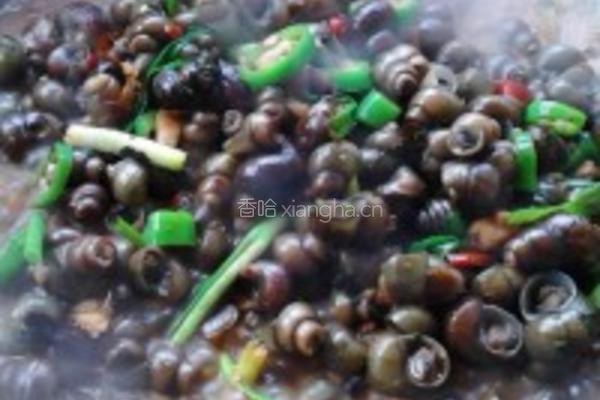 炒田螺的做法图解7