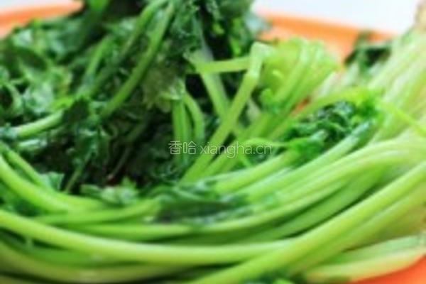 花生米拌香菜的做法图解1