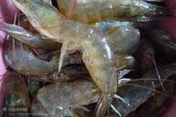 腰果虾球的做法图解1